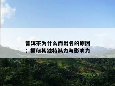 普洱茶为什么而出名的原因：揭秘其独特魅力与影响力