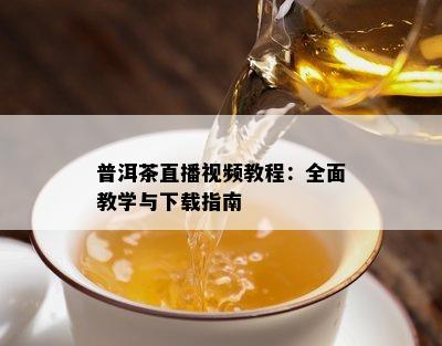 普洱茶直播视频教程：全面教学与下载指南