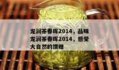 龙润茶春晖2014，品味龙润茶春晖2014，感受大自然的馈赠