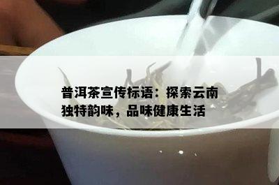 普洱茶宣传标语：探索云南特别韵味，品味健康生活