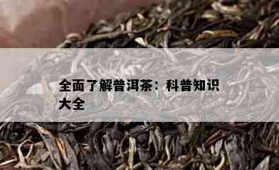 全面了解普洱茶：科普知识大全