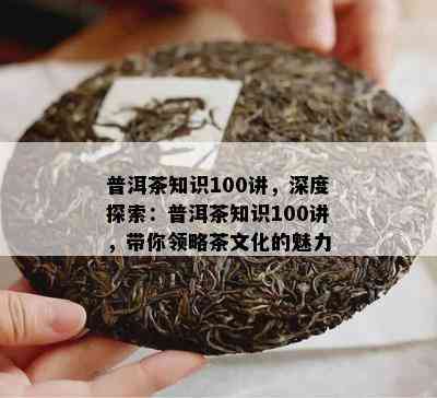 普洱茶知识100讲，深度探索：普洱茶知识100讲，带你领略茶文化的魅力