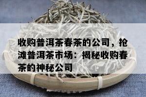 收购普洱茶春茶的公司，抢滩普洱茶市场：揭秘收购春茶的神秘公司