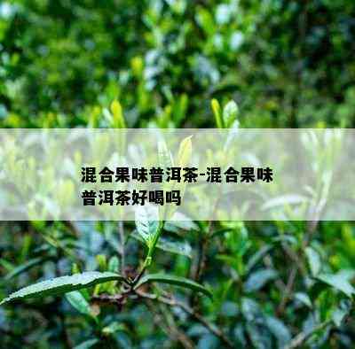 混合果味普洱茶-混合果味普洱茶好喝吗