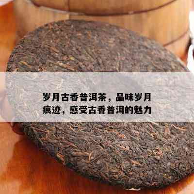 岁月古香普洱茶，品味岁月痕迹，感受古香普洱的魅力