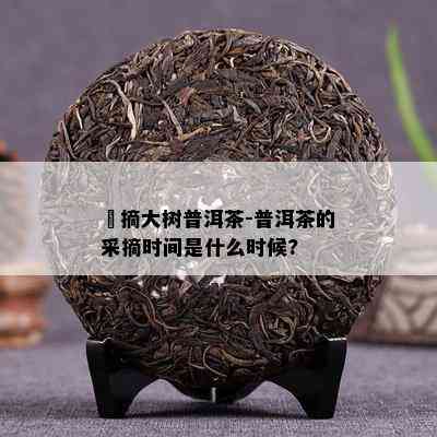 釆摘大树普洱茶-普洱茶的采摘时间是什么时候?