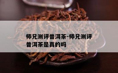 师兄测评普洱茶-师兄测评普洱茶是真的吗