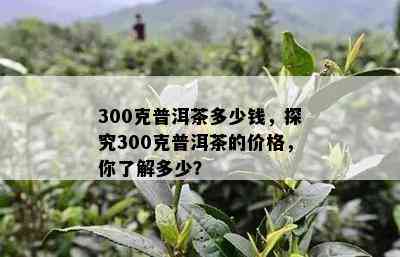 300克普洱茶多少钱，探究300克普洱茶的价格，你了解多少？