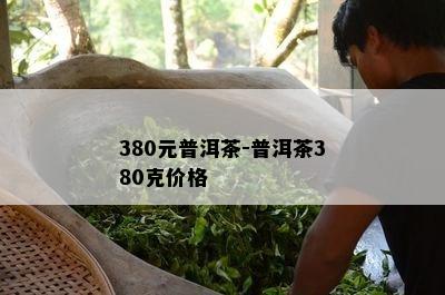 380元普洱茶-普洱茶380克价格