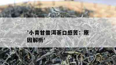 '小青甘普洱茶口感苦：原因解析'