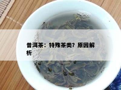 普洱茶：特殊茶类？起因解析