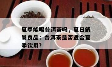 夏季能喝普洱茶吗，夏日解暑良品：普洱茶是不是适合夏季饮用？