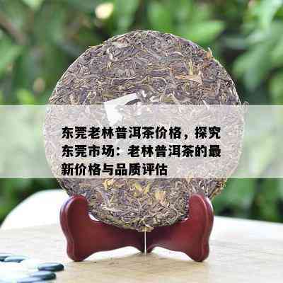 东莞老林普洱茶价格，探究东莞市场：老林普洱茶的最新价格与品质评估