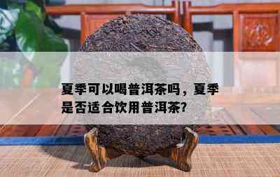 夏季可以喝普洱茶吗，夏季是不是适合饮用普洱茶？