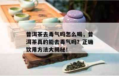 普洱茶去气吗怎么喝，普洱茶真的能去气吗？正确饮用方法大揭秘！