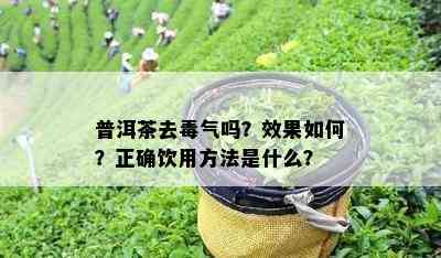 普洱茶去气吗？效果怎样？正确饮用方法是什么？