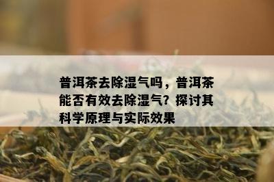 普洱茶去除湿气吗，普洱茶能否有效去除湿气？探讨其科学原理与实际效果