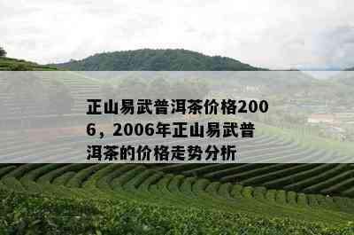 正山易武普洱茶价格2006，2006年正山易武普洱茶的价格走势分析