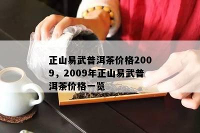 正山易武普洱茶价格2009，2009年正山易武普洱茶价格一览