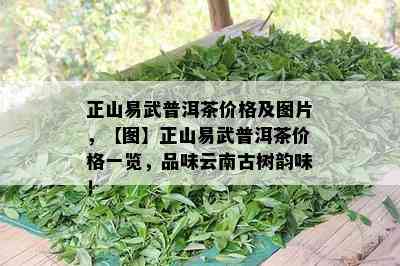 正山易武普洱茶价格及图片，【图】正山易武普洱茶价格一览，品味云南古树韵味！