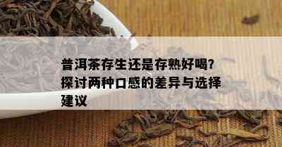 普洱茶存生还是存熟好喝？探讨两种口感的差异与选择建议