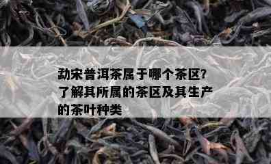 勐宋普洱茶属于哪个茶区？熟悉其所属的茶区及其生产的茶叶种类