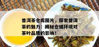 普洱茶仓库图片，探索普洱茶的魅力：揭秘仓储环境对茶叶品质的作用！