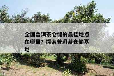 全国普洱茶仓储的更佳地点在哪里？探索普洱茶仓储基地