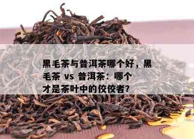 黑毛茶与普洱茶哪个好，黑毛茶 vs 普洱茶：哪个才是茶叶中的佼佼者？