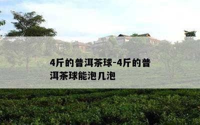 4斤的普洱茶球-4斤的普洱茶球能泡几泡