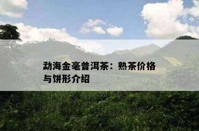 勐海金毫普洱茶：熟茶价格与饼形介绍