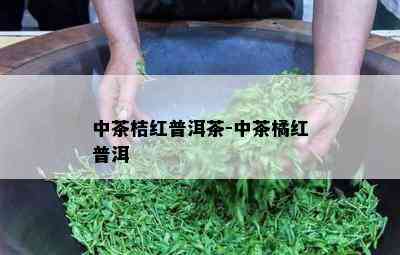 中茶桔红普洱茶-中茶橘红普洱