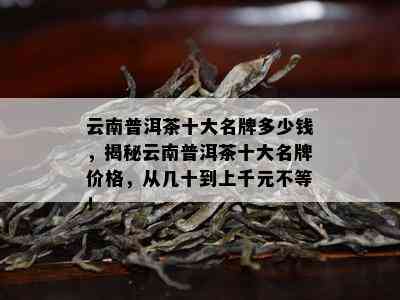 云南普洱茶十大名牌多少钱，揭秘云南普洱茶十大名牌价格，从几十到上千元不等！