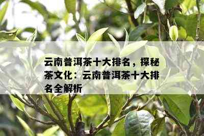 云南普洱茶十大排名，探秘茶文化：云南普洱茶十大排名全解析