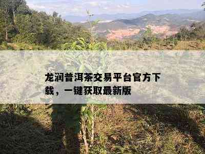 龙润普洱茶交易平台官方下载，一键获取最新版