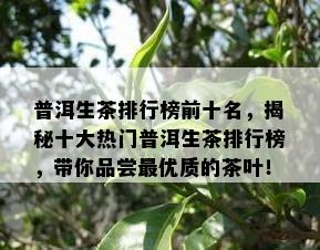 普洱生茶排行榜前十名，揭秘十大热门普洱生茶排行榜，带你品尝更优质的茶叶！