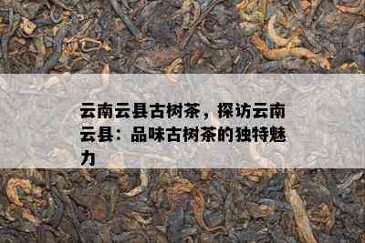 云南云县古树茶，探访云南云县：品味古树茶的独特魅力