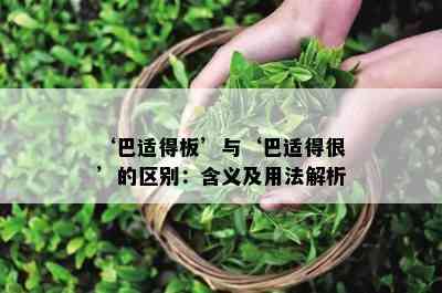 ‘巴适得板’与‘巴适得很’的区别：含义及用法解析