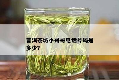 普洱茶城小哥哥电话号码是多少？