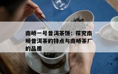 南峤一号普洱茶饼：探究南峤普洱茶的特点与南峤茶厂的品质