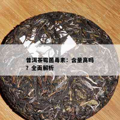 普洱茶霉菌素：含量高吗？全面解析