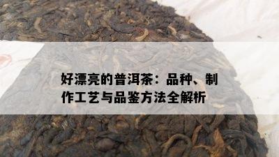 好漂亮的普洱茶：品种、制作工艺与品鉴方法全解析