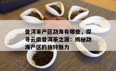 普洱茶产区勐海有哪些，探寻云南普洱茶之源：揭秘勐海产区的特别魅力