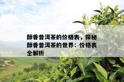 醇香普洱茶的价格表，探秘醇香普洱茶的世界：价格表全解析