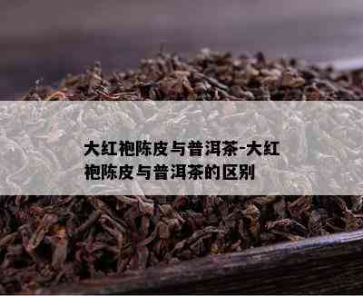 大红袍陈皮与普洱茶-大红袍陈皮与普洱茶的区别