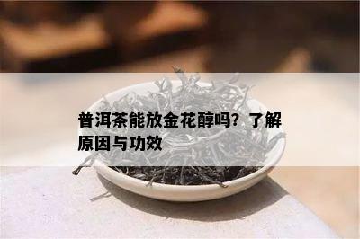 普洱茶能放金花醇吗？了解原因与功效