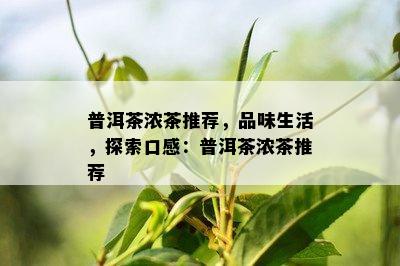 普洱茶浓茶推荐，品味生活，探索口感：普洱茶浓茶推荐