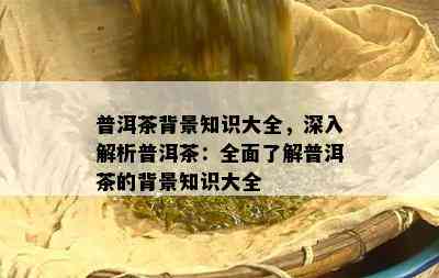 普洱茶背景知识大全，深入解析普洱茶：全面熟悉普洱茶的背景知识大全