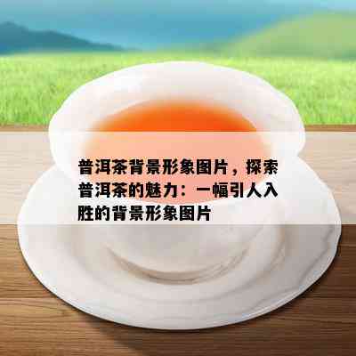 普洱茶背景形象图片，探索普洱茶的魅力：一幅引人入胜的背景形象图片