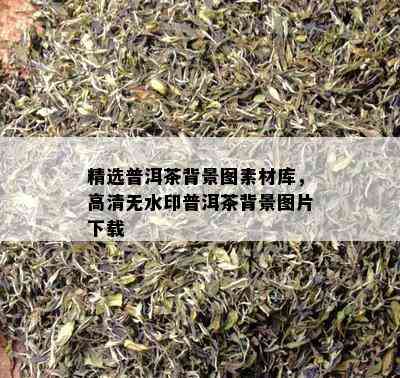 精选普洱茶背景图素材库，高清无水印普洱茶背景图片下载